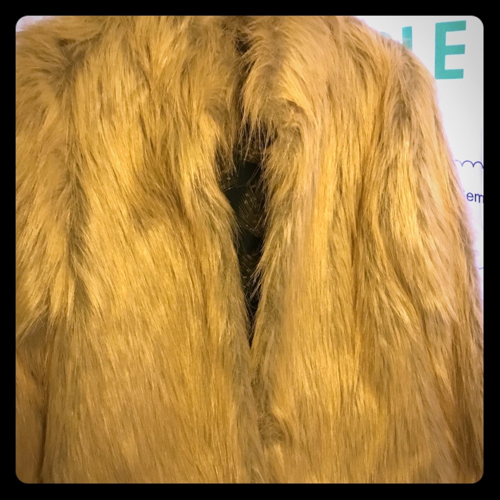 Sanctuary faux fur coat